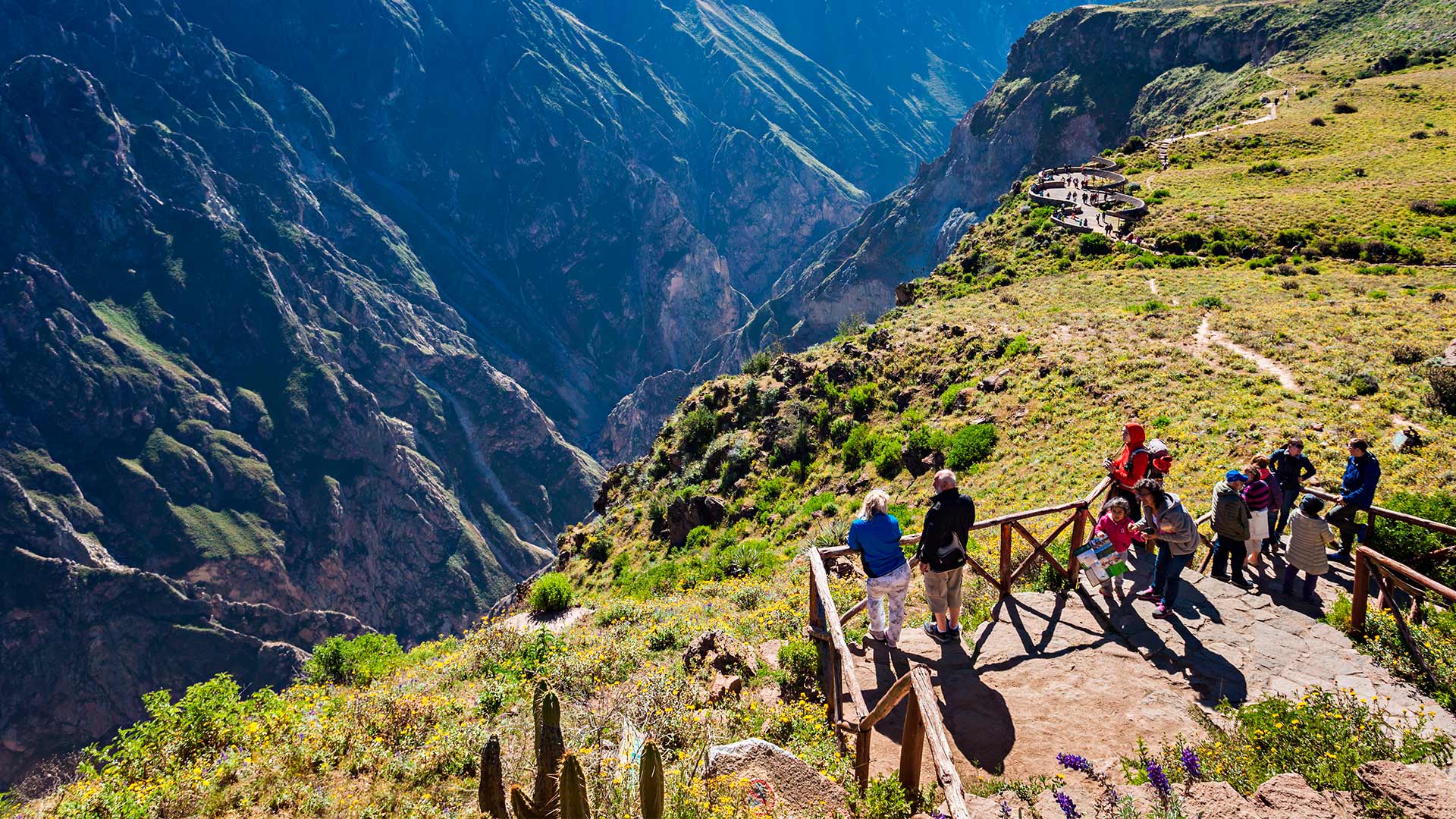Cañon Del Colca En Arequipa Perú Travel